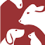 animalsdr.com