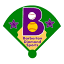 barbertondiamondsports.com