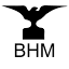 blackhawkmutual.com