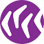 capricorninsurance.com