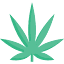cheapbudcanada.com
