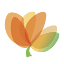 ecofleurs.ca