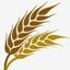 harvestmanitoba.ca