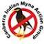 indianmynaaction.org.au
