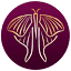 moonmoth.com