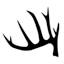 texasdeerassociation.com