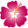 tinytownehawaii.com
