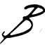 baanvelgen.com