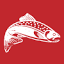 beaverdamstore.net