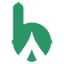 bicamps.com