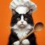 cafecat.com.au