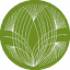 companyofstursula.org