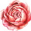 doulapiia.com