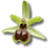 florealpes.com