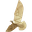 peregrinelabs.com