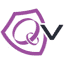 qvigilance.com