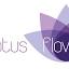 thelotusflowercornwall.com