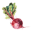 thrivingautoimmune.com