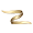 ziremm.az