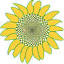 allseeds.com