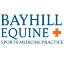 bayhillequine.com