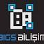 bigsbilisim.com