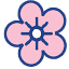 cherryblossom.org