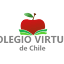 colegiovirtualdechile.cl