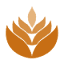 gandummas.co.id