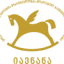 iavnana.ge