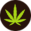 indicasativatrade.com