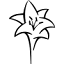 lelis.com.br