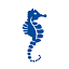 memphispool.com