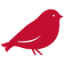 morebirds.com