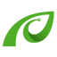 pistil.ro