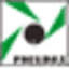 pneumaxspa.com