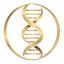 revitalizedresearch.com