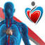 saludmedica.com