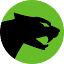 arcticcat.com