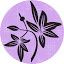 backyardbotanicalsky.com
