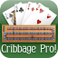 cribbagepro.net