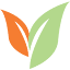 customearthpromos.com