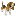 doggybite.nl
