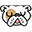 dopeboo.com