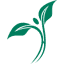 hebsurherbals.com