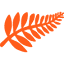 internships.co.nz