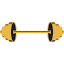 ironcityelite.com