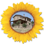 italiaincampagna.com