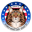 mainecoon.fi