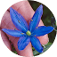 taramartin.org